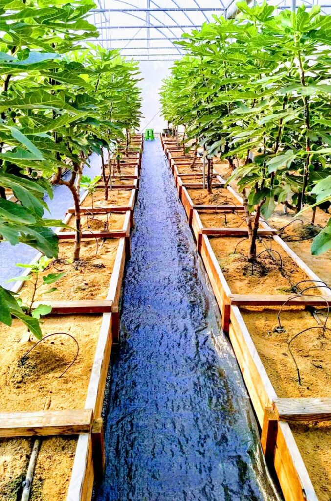 พลาสติกโรงเรือน กระถ่างน้่ำตาล