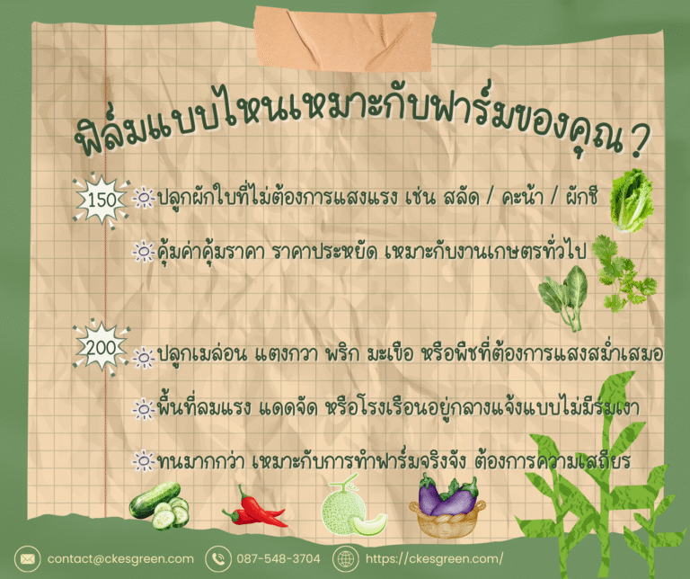 พลาสติกคลุมโรงเรือน 150 vs 200 ไมครอน รูป4