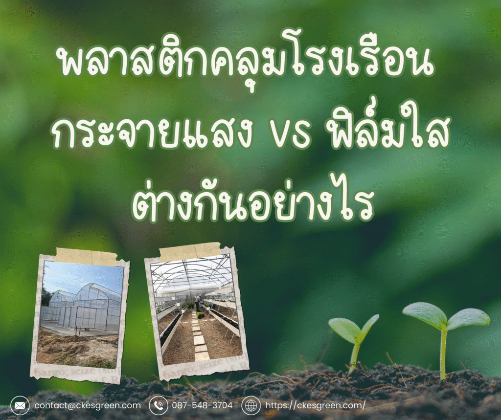 พลาสติกคลุมโรงเรือน กระจายแสง1