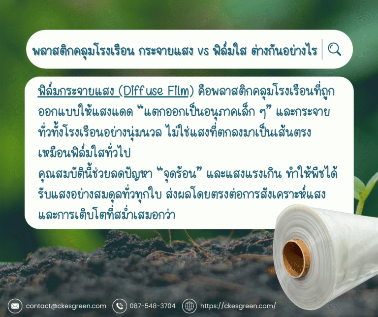 พลาสติกคลุมโรงเรือน กระจายแสง2