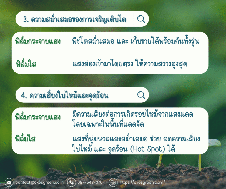 พลาสติกคลุมโรงเรือน กระจายแสง4