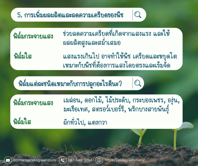 พลาสติกคลุมโรงเรือน กระจายแสง5