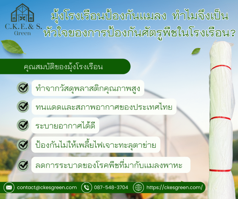 รูปมุ้ง4