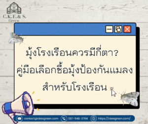 รูปมุ้งโรงเรือนควรมีกี่ตา