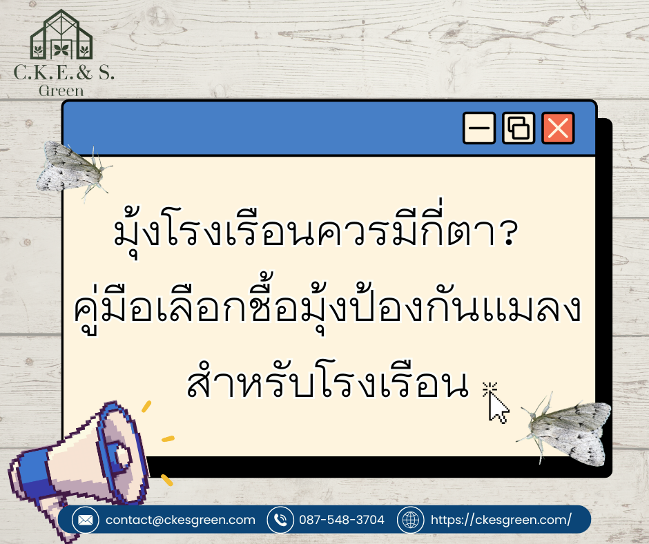 รูปมุ้งโรงเรือนควรมีกี่ตา