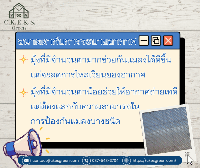 รูปมุ้งโรงเรือนควรมีกี่ตา3